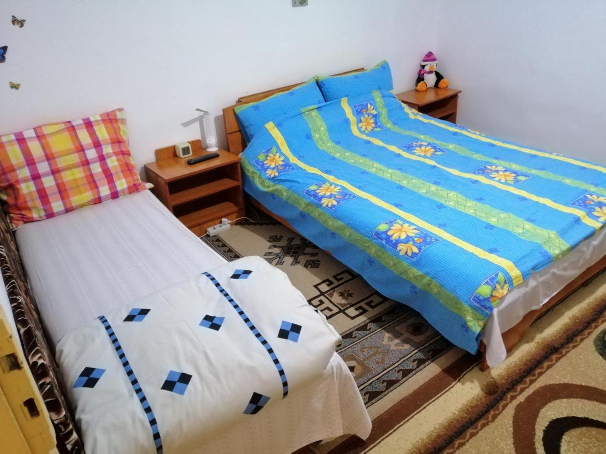 Apartamento Rustic House Turnu Măgurele Exterior foto